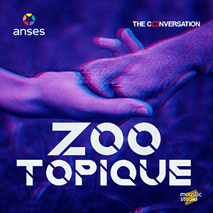 zootopique